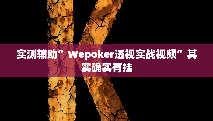 实测辅助”Wepoker透视实战视频”其实确实有挂