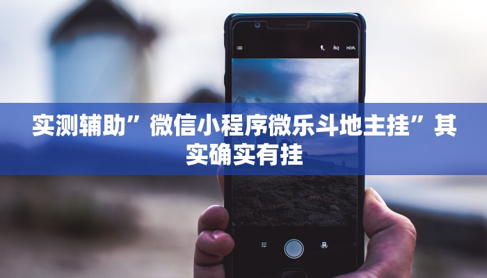 实测辅助”微信小程序微乐斗地主挂”其实确实有挂