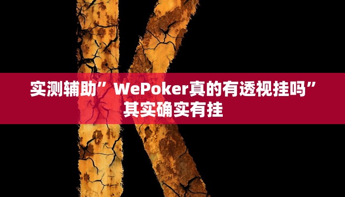 实测辅助”WePoker真的有透视挂吗”其实确实有挂
