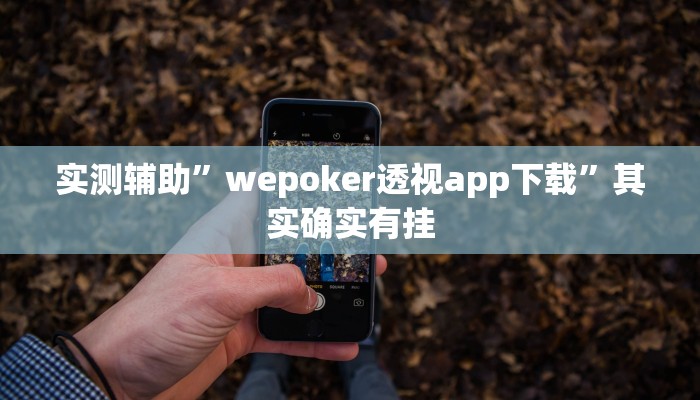 实测辅助”wepoker透视app下载”其实确实有挂
