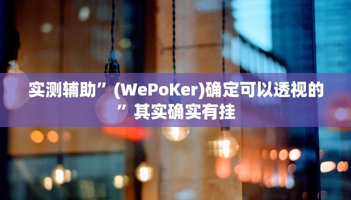实测辅助”(WePoKer)确定可以透视的”其实确实有挂