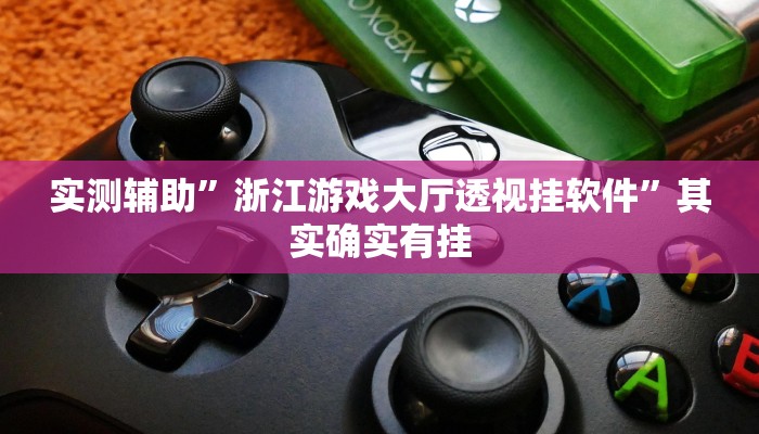 实测辅助”浙江游戏大厅透视挂软件”其实确实有挂