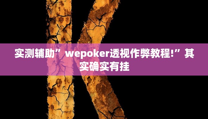 实测辅助”wepoker透视作弊教程!”其实确实有挂