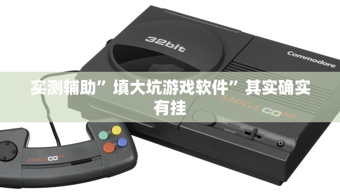 实测辅助”填大坑游戏软件”其实确实有挂