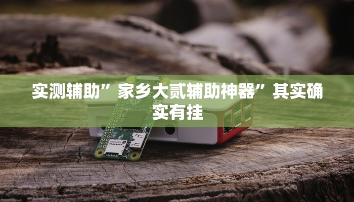 实测辅助”家乡大贰辅助神器”其实确实有挂