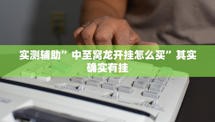 实测辅助”中至窝龙开挂怎么买”其实确实有挂