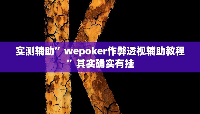实测辅助”wepoker作弊透视辅助教程”其实确实有挂