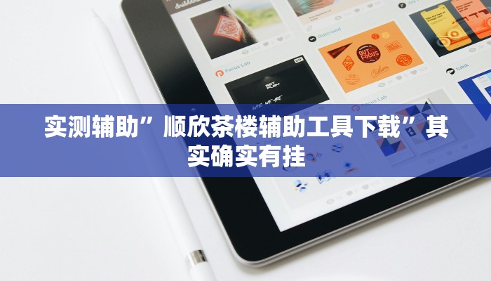实测辅助”顺欣茶楼辅助工具下载”其实确实有挂