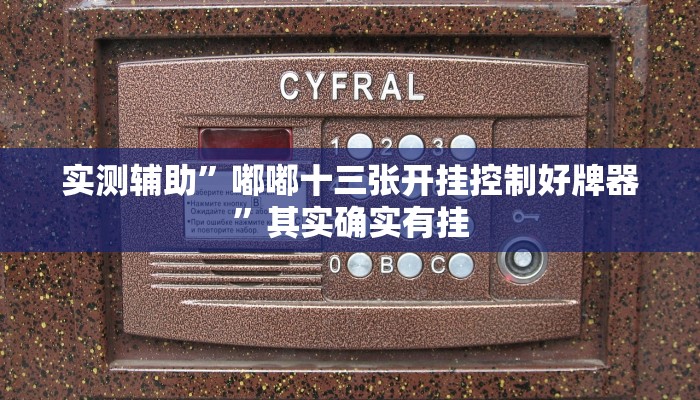 实测辅助”嘟嘟十三张开挂控制好牌器”其实确实有挂