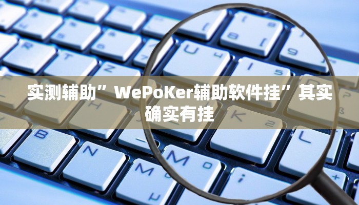 实测辅助”WePoKer辅助软件挂”其实确实有挂