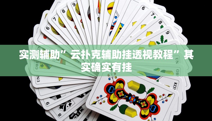 实测辅助”云扑克辅助挂透视教程”其实确实有挂