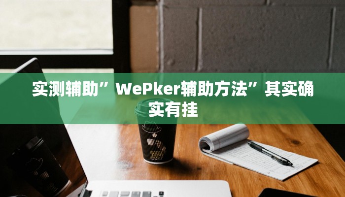 实测辅助”WePker辅助方法”其实确实有挂