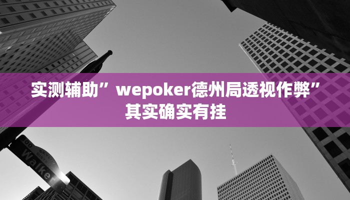 实测辅助”wepoker德州局透视作弊”其实确实有挂