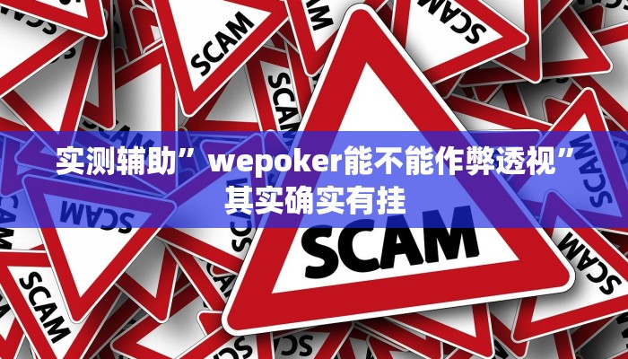 实测辅助”wepoker能不能作弊透视”其实确实有挂