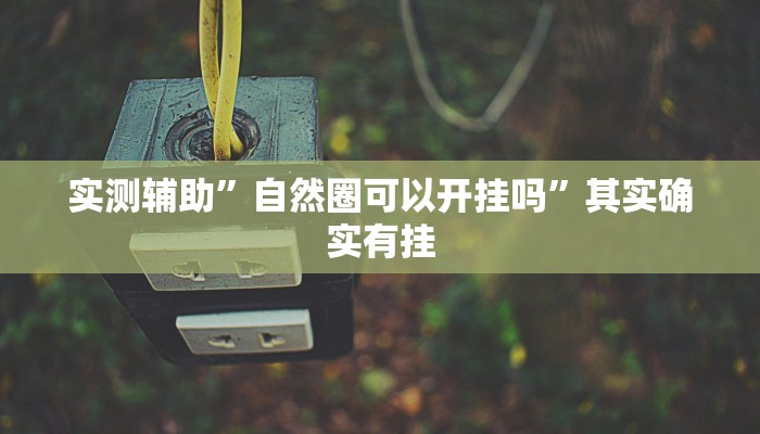 实测辅助”自然圈可以开挂吗”其实确实有挂