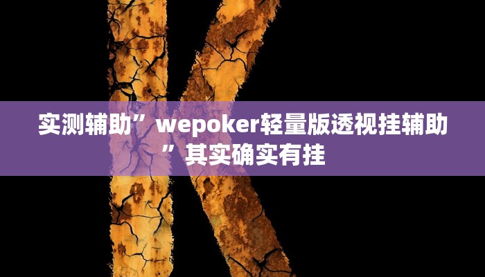 实测辅助”wepoker轻量版透视挂辅助”其实确实有挂