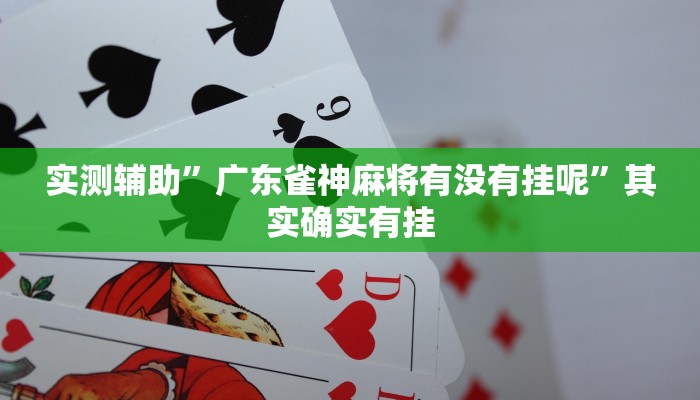 实测辅助”广东雀神麻将有没有挂呢”其实确实有挂