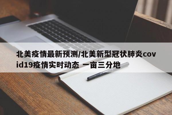 北美疫情最新预测/北美新型冠状肺炎covid19疫情实时动态 一亩三分地