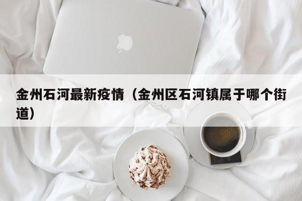 金州石河最新疫情（金州区石河镇属于哪个街道）